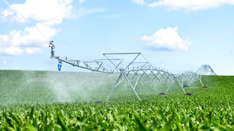 Agricultural Consulting